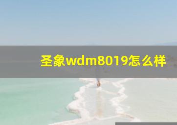 圣象wdm8019怎么样