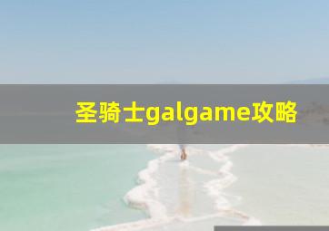 圣骑士galgame攻略