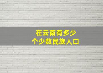 在云南有多少个少数民族人口