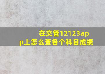 在交管12123app上怎么查各个科目成绩