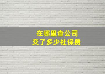 在哪里查公司交了多少社保费