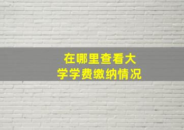 在哪里查看大学学费缴纳情况