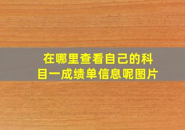 在哪里查看自己的科目一成绩单信息呢图片