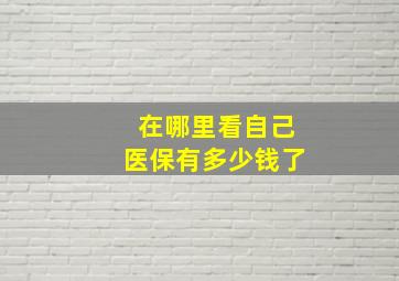 在哪里看自己医保有多少钱了