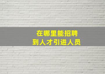 在哪里能招聘到人才引进人员