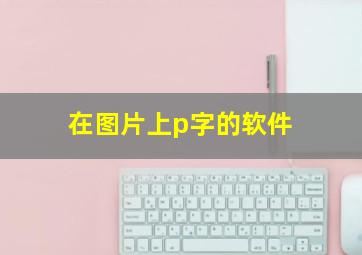 在图片上p字的软件