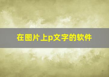 在图片上p文字的软件