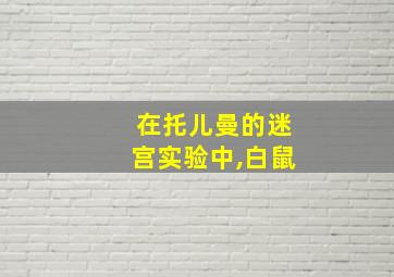 在托儿曼的迷宫实验中,白鼠