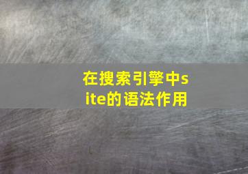 在搜索引擎中site的语法作用