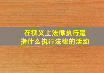 在狭义上法律执行是指什么执行法律的活动