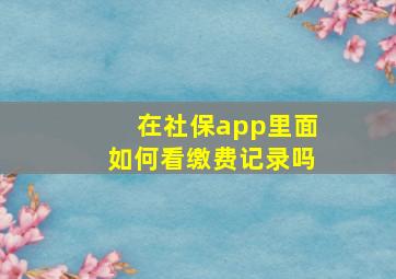 在社保app里面如何看缴费记录吗