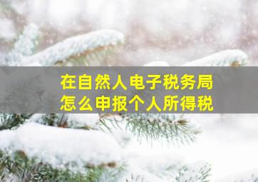 在自然人电子税务局怎么申报个人所得税