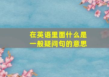 在英语里面什么是一般疑问句的意思