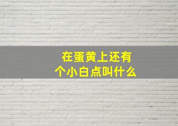 在蛋黄上还有个小白点叫什么