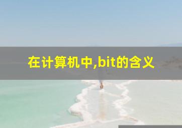 在计算机中,bit的含义