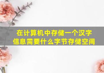 在计算机中存储一个汉字信息需要什么字节存储空间