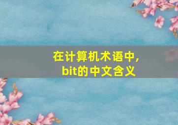 在计算机术语中,bit的中文含义