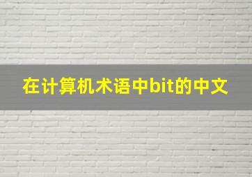 在计算机术语中bit的中文