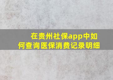 在贵州社保app中如何查询医保消费记录明细