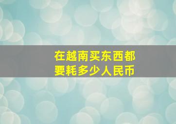 在越南买东西都要耗多少人民币