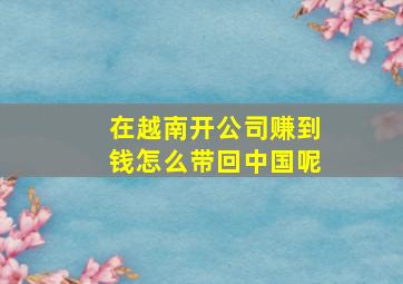 在越南开公司赚到钱怎么带回中国呢