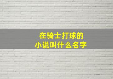 在骑士打球的小说叫什么名字