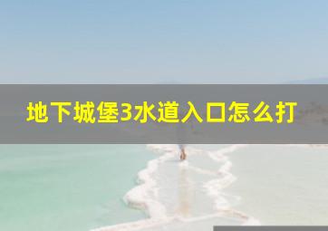 地下城堡3水道入口怎么打