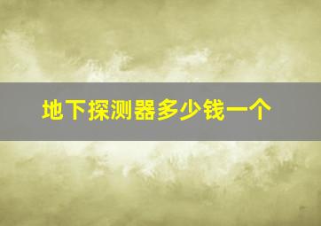 地下探测器多少钱一个