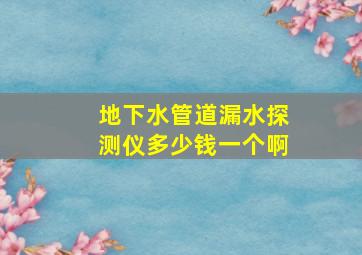 地下水管道漏水探测仪多少钱一个啊