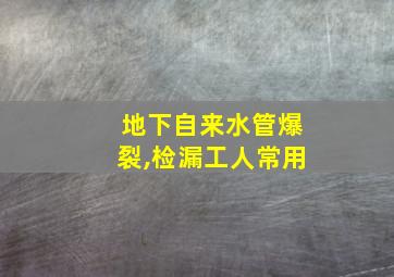 地下自来水管爆裂,检漏工人常用