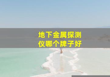 地下金属探测仪哪个牌子好