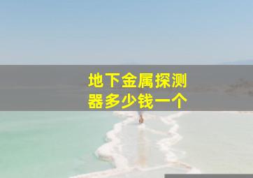 地下金属探测器多少钱一个