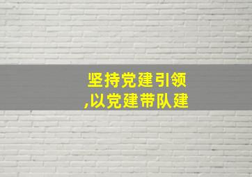 坚持党建引领,以党建带队建