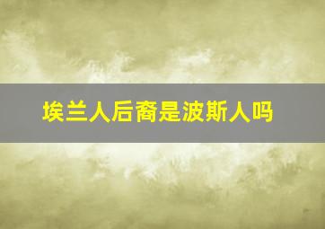 埃兰人后裔是波斯人吗