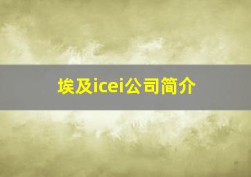 埃及icei公司简介