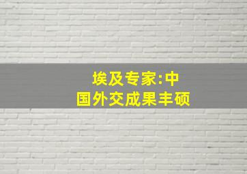 埃及专家:中国外交成果丰硕