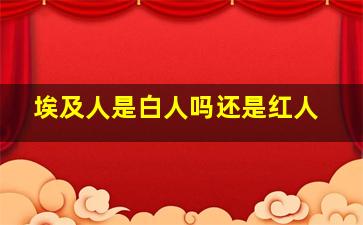 埃及人是白人吗还是红人