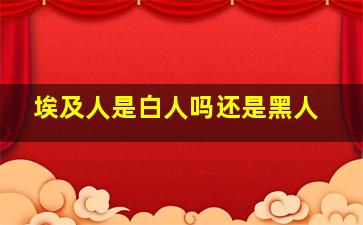 埃及人是白人吗还是黑人