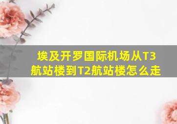 埃及开罗国际机场从T3航站楼到T2航站楼怎么走