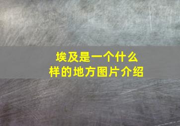 埃及是一个什么样的地方图片介绍