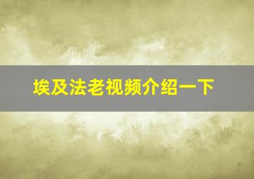 埃及法老视频介绍一下