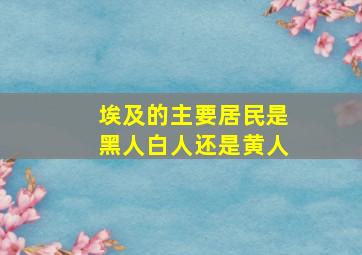 埃及的主要居民是黑人白人还是黄人