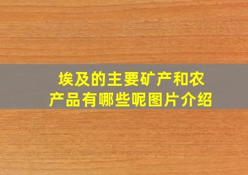 埃及的主要矿产和农产品有哪些呢图片介绍