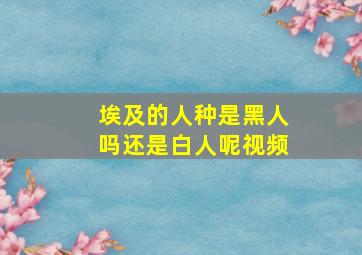 埃及的人种是黑人吗还是白人呢视频