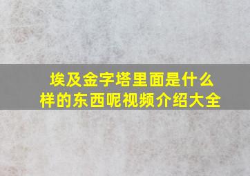 埃及金字塔里面是什么样的东西呢视频介绍大全