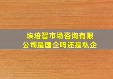 埃培智市场咨询有限公司是国企吗还是私企