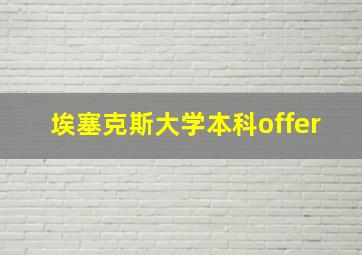 埃塞克斯大学本科offer