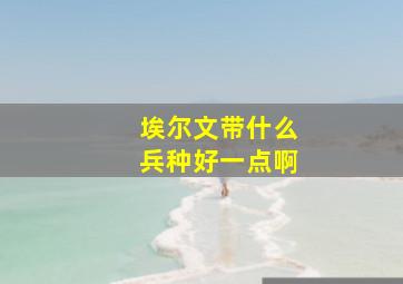 埃尔文带什么兵种好一点啊