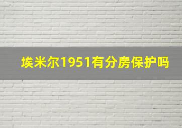 埃米尔1951有分房保护吗