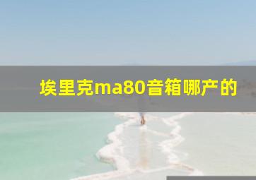 埃里克ma80音箱哪产的